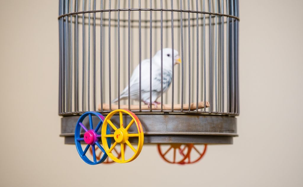 A birdcage with colorful wheels attached to its base.