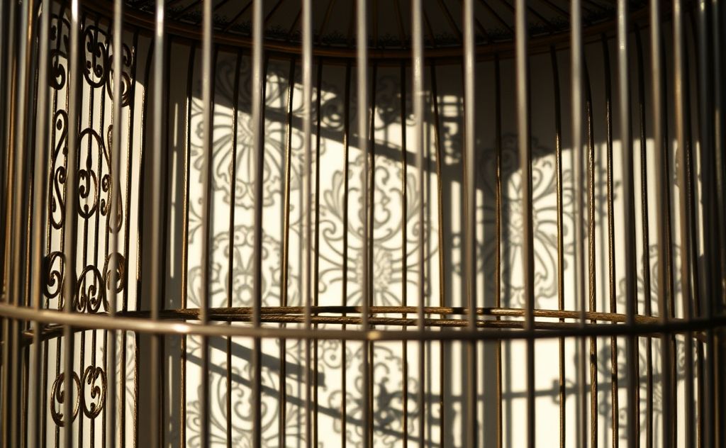 A closed, ornate bird cage with intricate patterns and shadows.