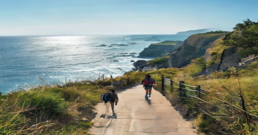 A Guide to Easy Coastal Hikes near Albany for Beginners