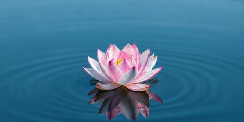 A serene image of a lotus flower floating on calm water, symbolizing peace and tranquility