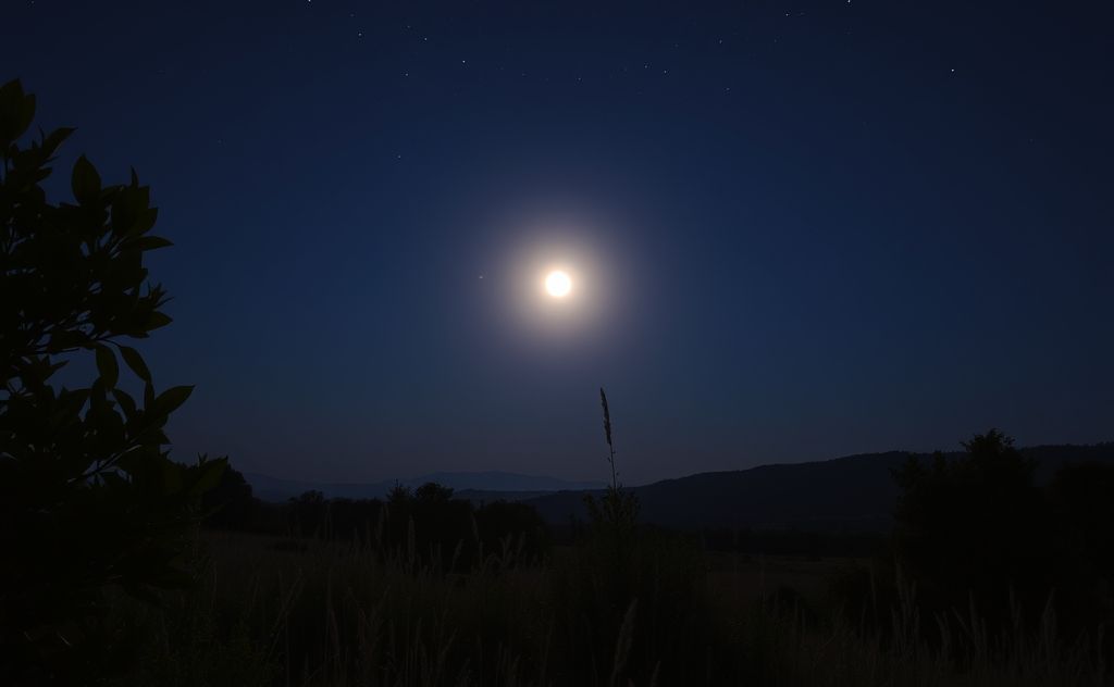A serene night scene with a glowing moon and chakra symbols in nature.
