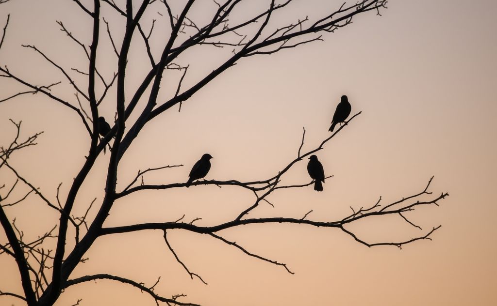 A serene scene of birds perched quietly in a tree at dusk.