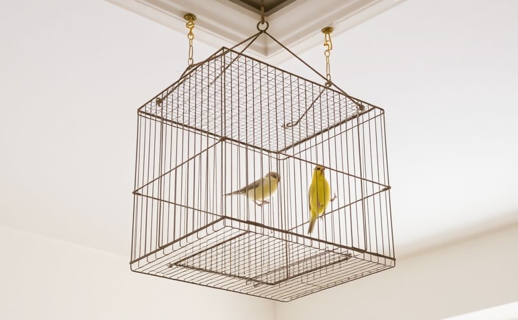 A sturdy birdcage suspended from a ceiling with secure hooks.