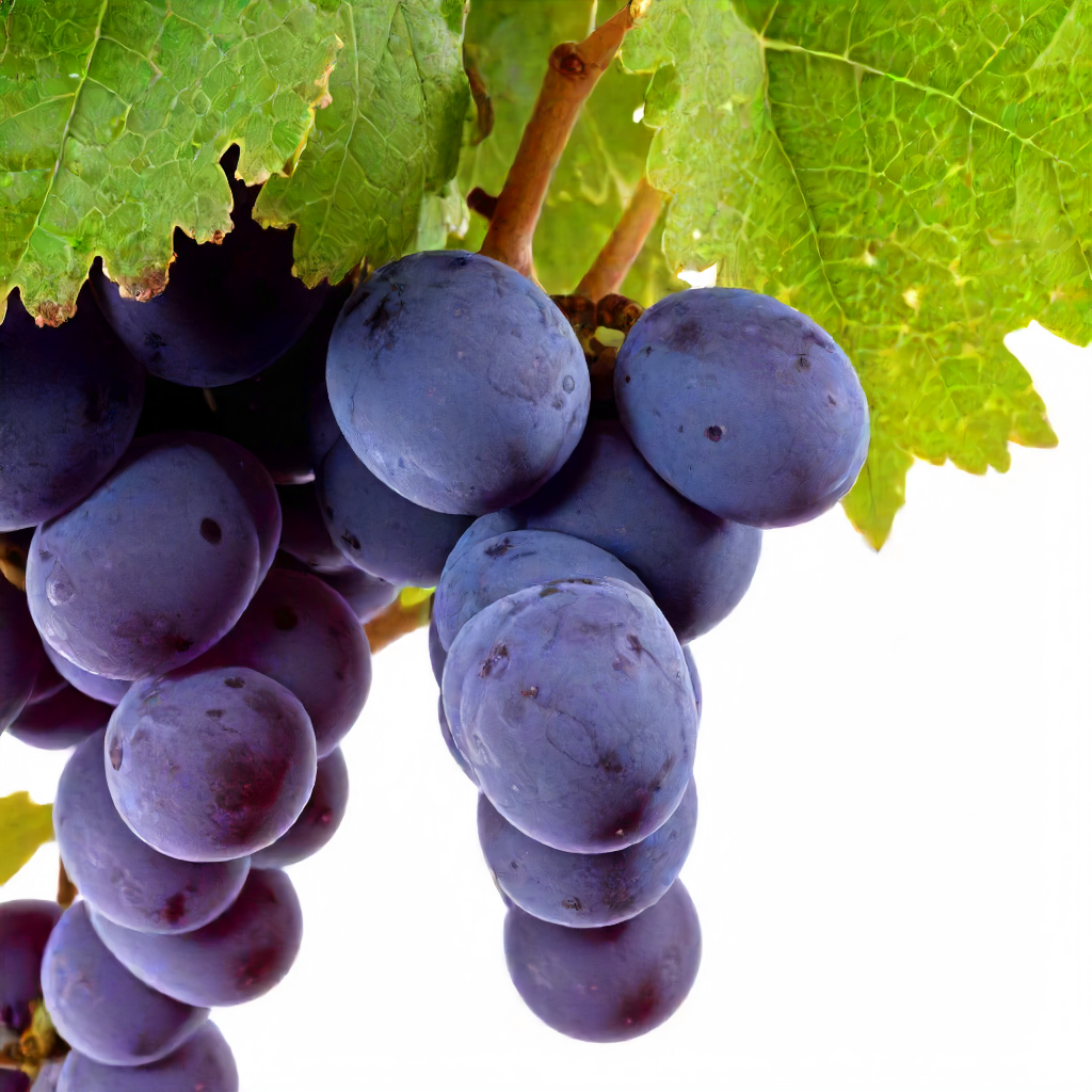 Recommended Grape Serving Size and Factors to Consider
