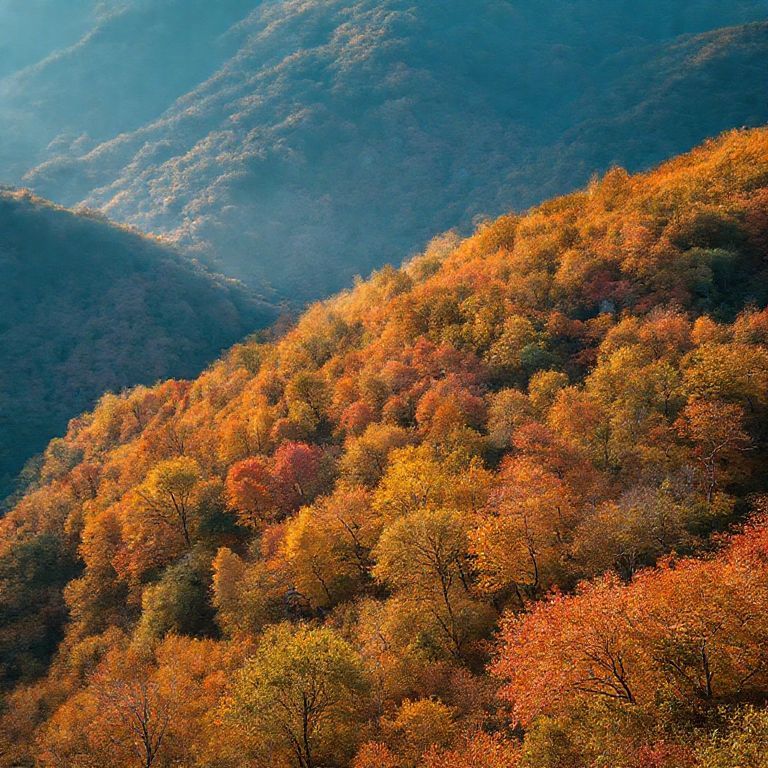 🍁 가을 시즌 대둔산 여행