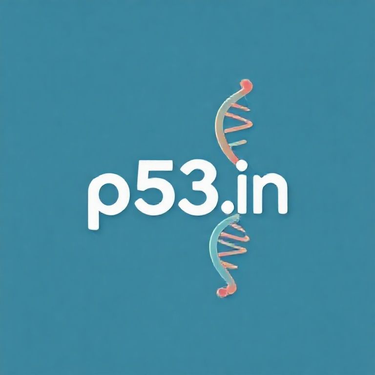p53.in logo