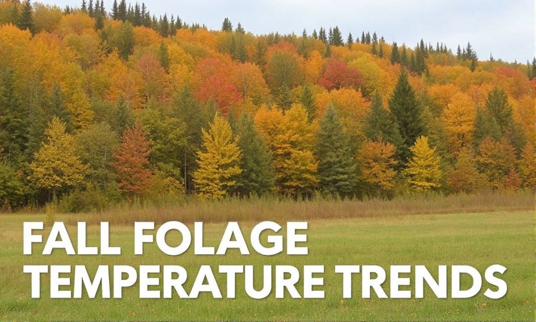 Fall Foliage and Temperature Trends: Preparing for Autumn