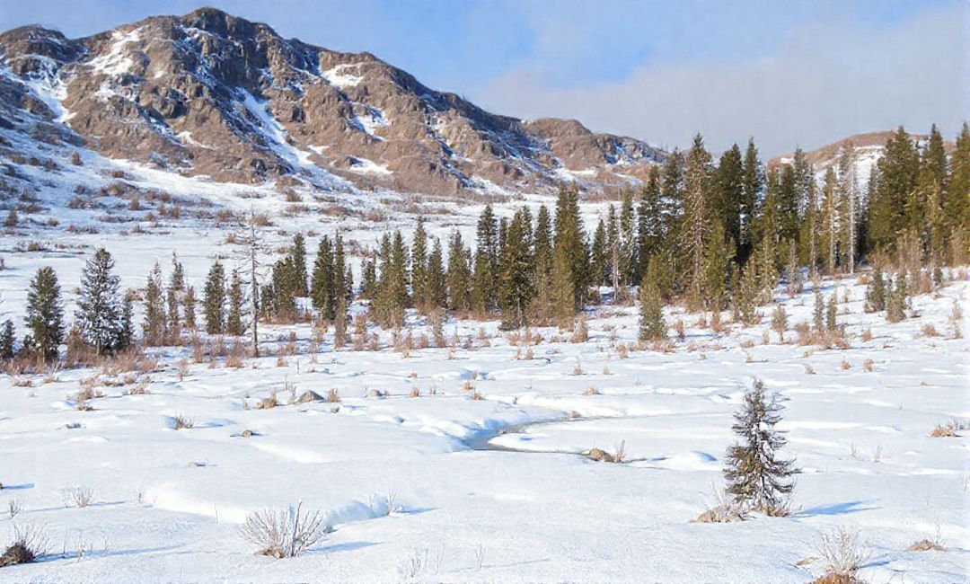 How temperature influences permafrost thawing