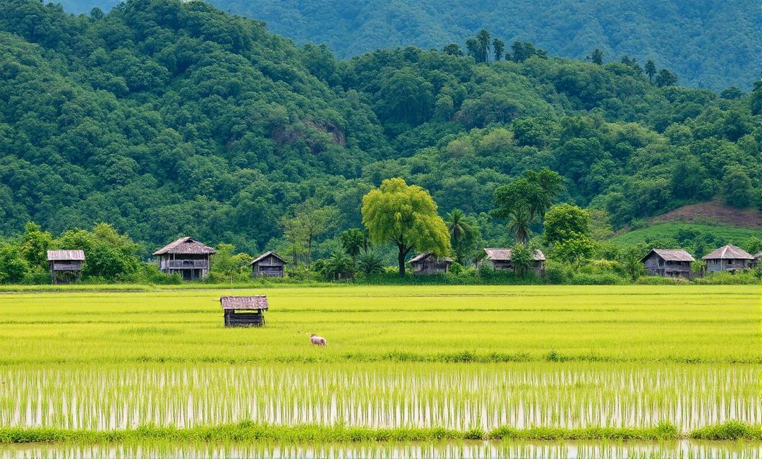 Resilience in the Face of Climate-Related Challenges