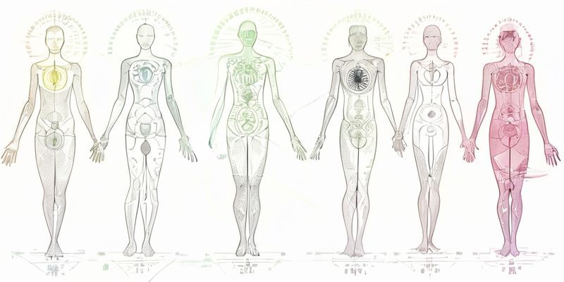 Seven%20Chakras%20of%20the%20Human%20Body,%20line%20art%20diagram%20with%20labels