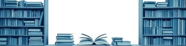 Banner Classici di Classe: Libri e Letteratura