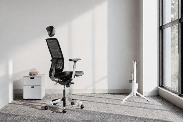 Ergonomic Office Chair