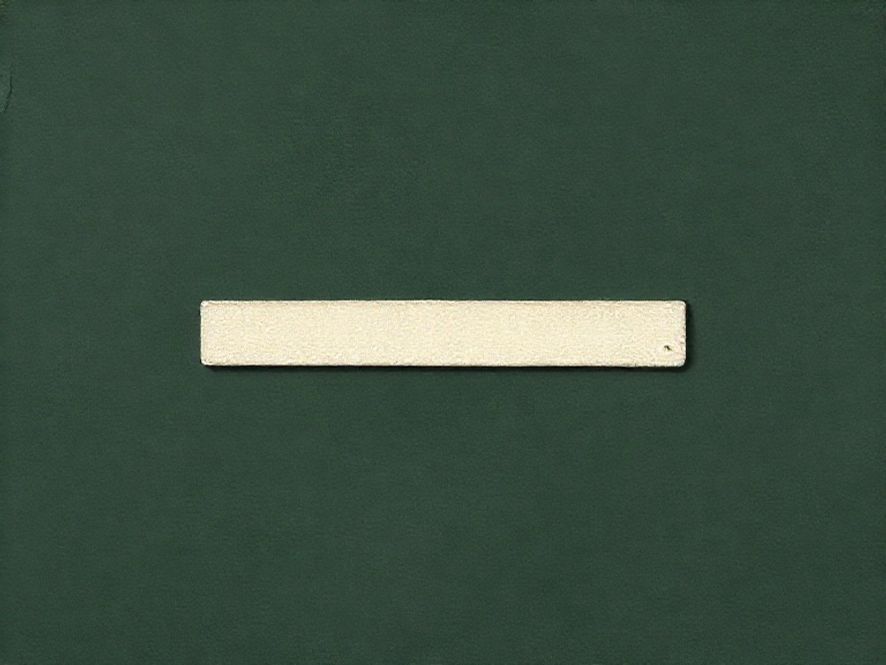 Insurance Costs and Policy Cancellation with Insurance Costs